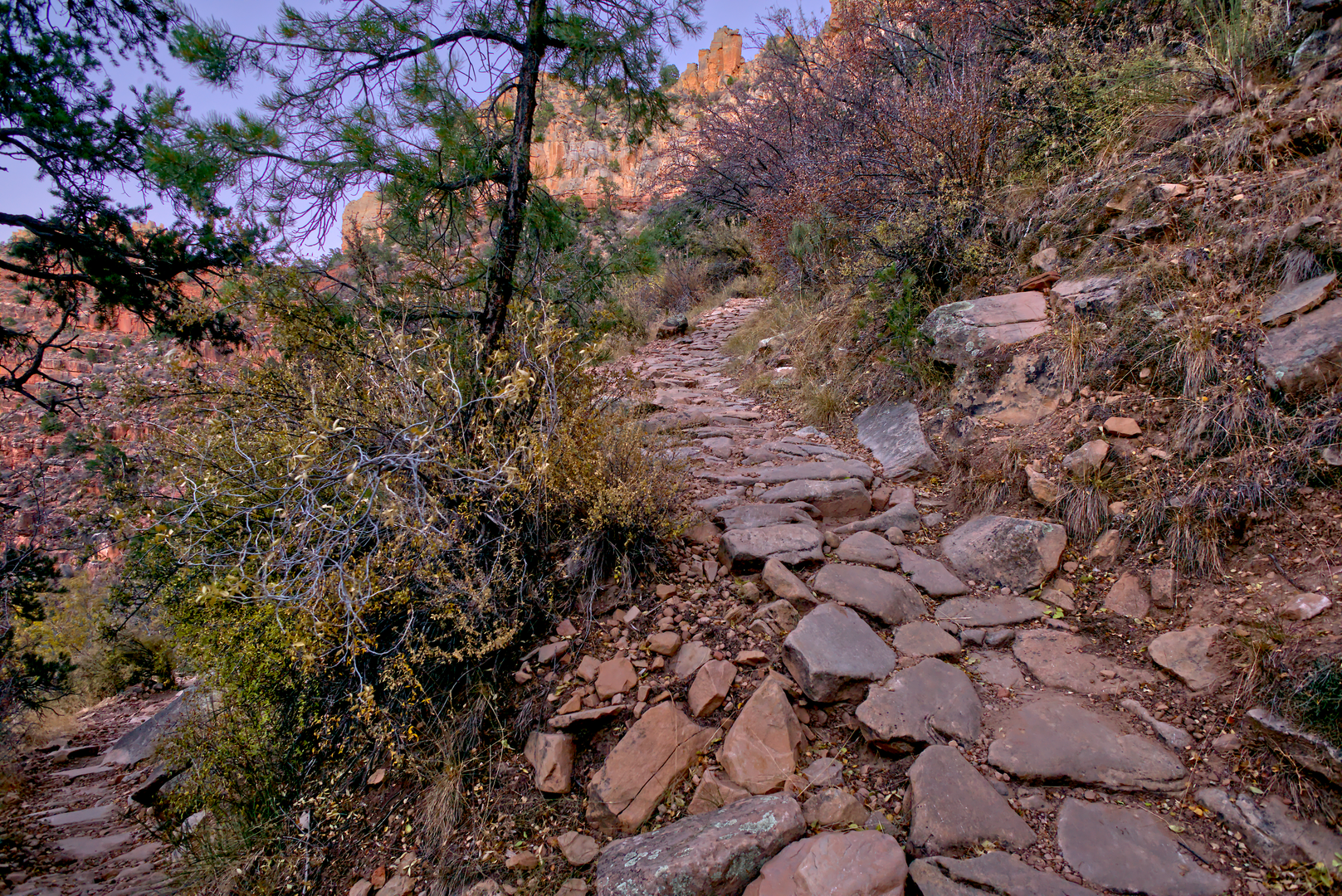 An image depicting the trail Grandview Trail to New Hance Trail and its surrounding area.