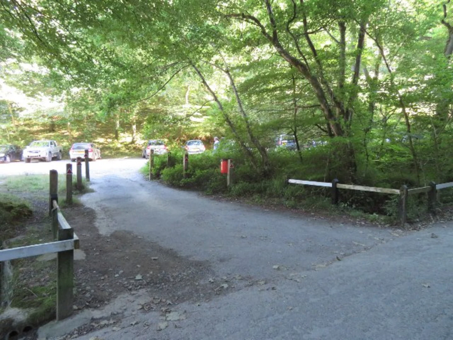 An image depicting the trail Peppercombe Wood, Peppercombe Castle and Buck's Mills Walk and its surrounding area.