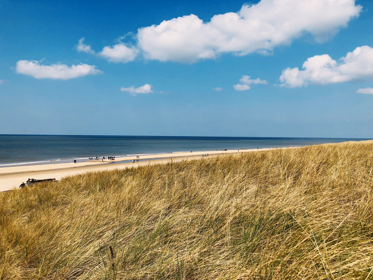 An image depicting the trail Egmond Binnen via Lageweg and Westerberg and its surrounding area.