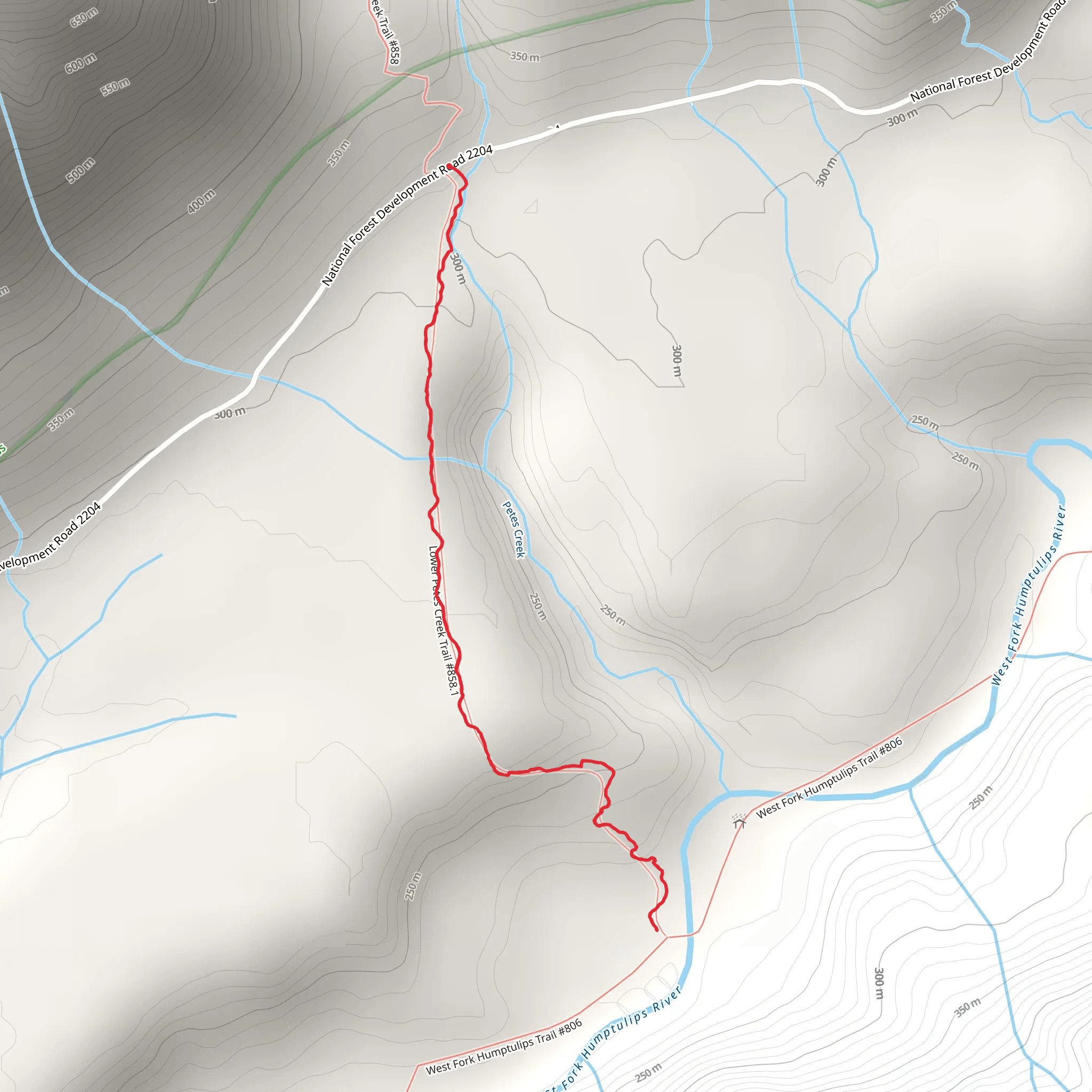 Lower Pete's Creek Trail mobile static map