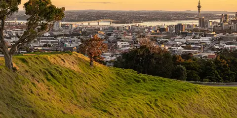 An image depicting the trail Maungawhau Summit - Mount Eden and its surrounding area.