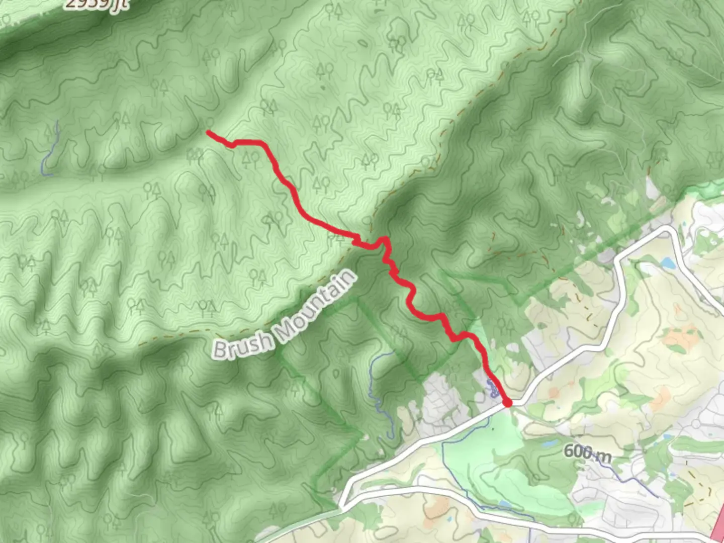 An image depicting the trail Jacob's Ladder Trail and its surrounding area.
