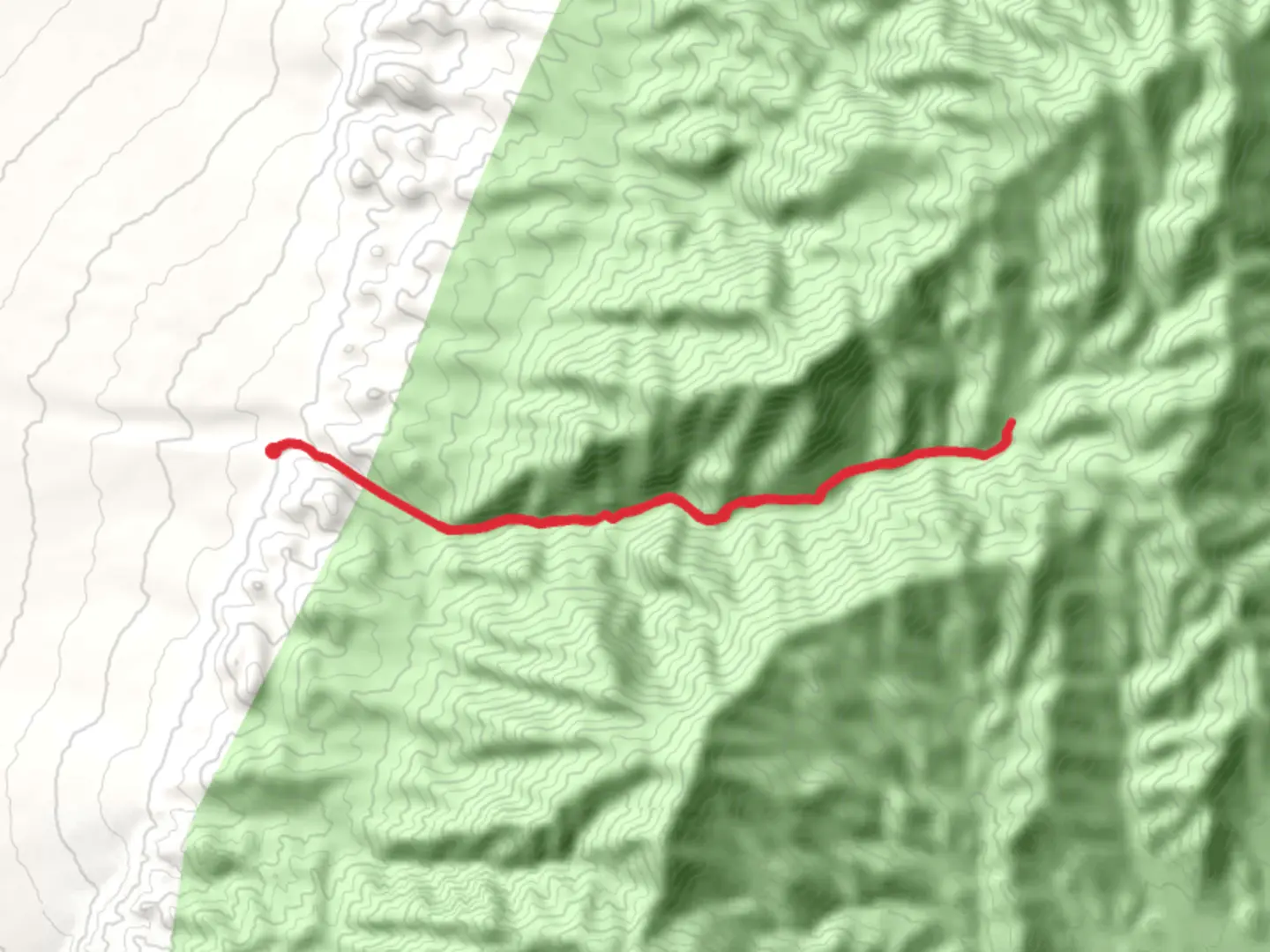 An image depicting the trail Hidden Forest Road and its surrounding area.