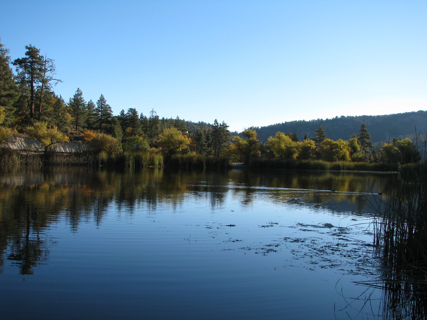 An image depicting the trail Boy Scout Trail and PCT Loop and its surrounding area.