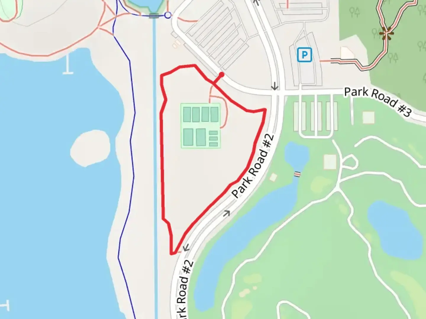 An image depicting the trail Loop Beside Park Road 2 and its surrounding area.