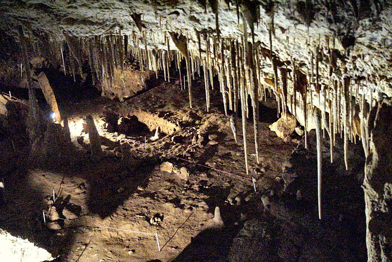 An image depicting the trail Naracoorte Caves National Park and its surrounding area.