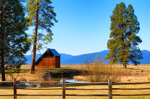 An image depicting the trail Jack Springs via Sevenmile Trail and its surrounding area.