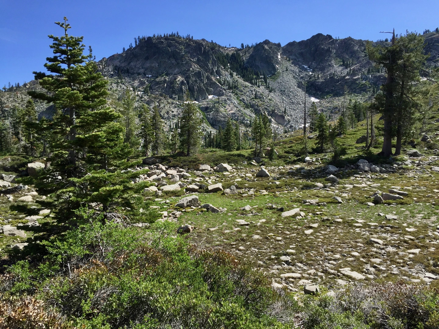 An image depicting the trail Round Lake, Long Lake Connector and Grassy Lake Loop Trail and its surrounding area.