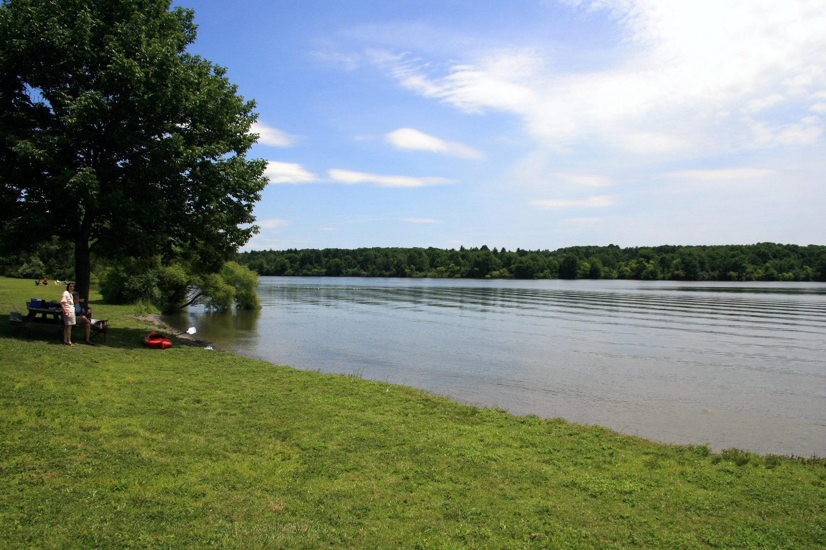 An image depicting the trail Lake Nockamixon and Tohickon Creek Loop and its surrounding area.