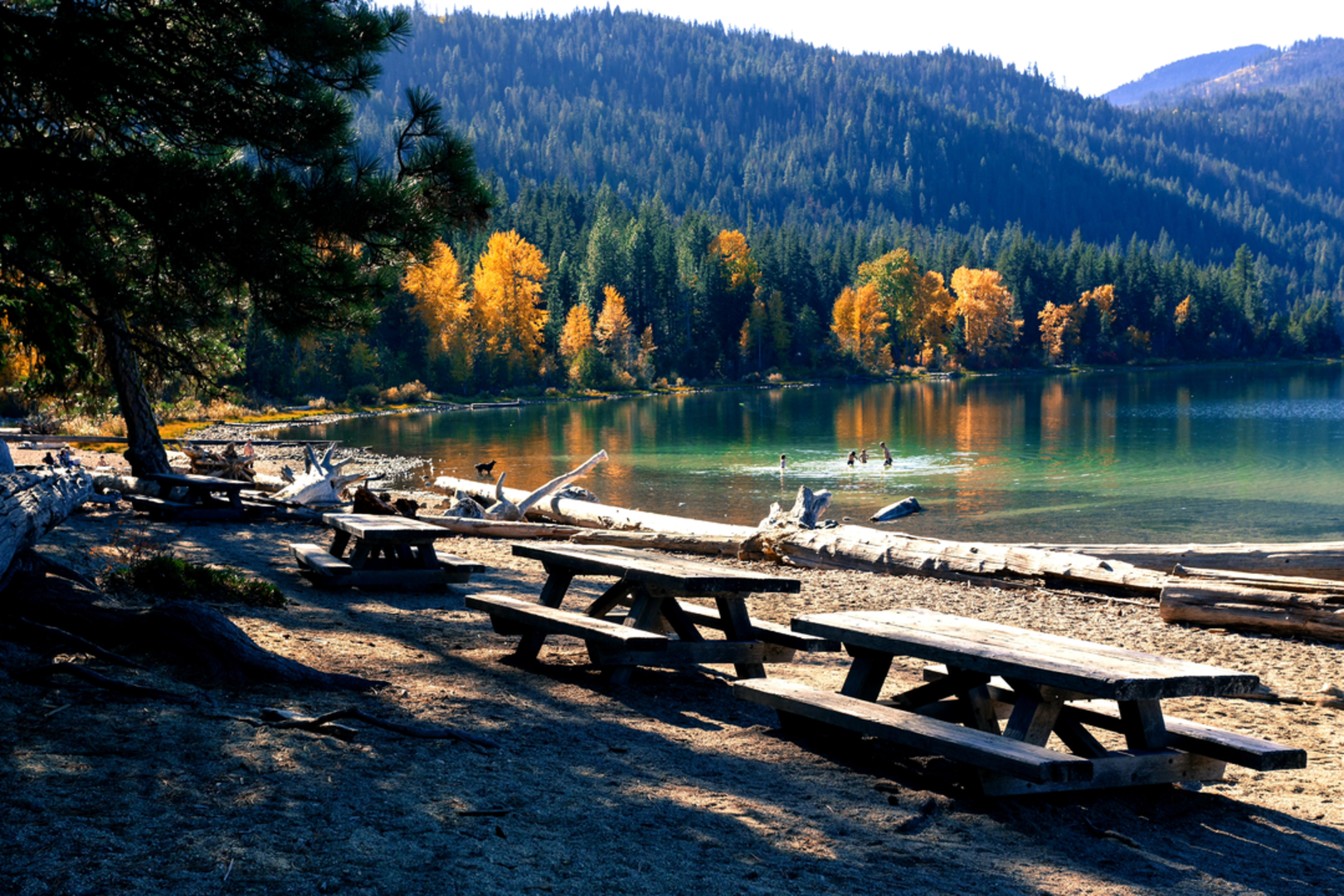 An image depicting the trail Nason Ridge Trail and its surrounding area.