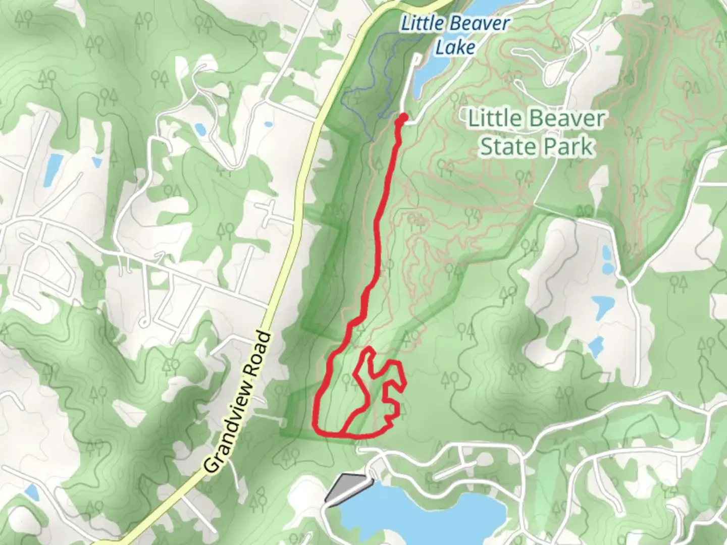 An image depicting the trail Rhododendron Run and Stone Trough Loop Trail and its surrounding area.