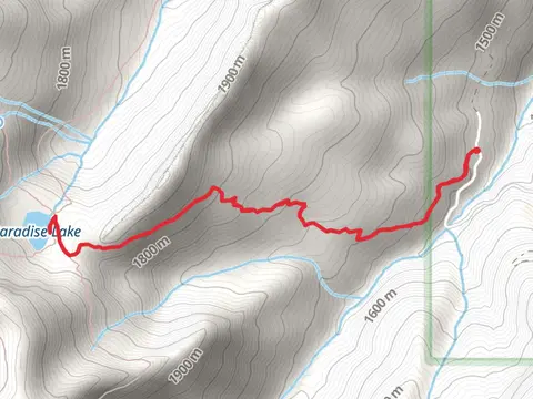 Paradise Lake via Rye Patch Trail