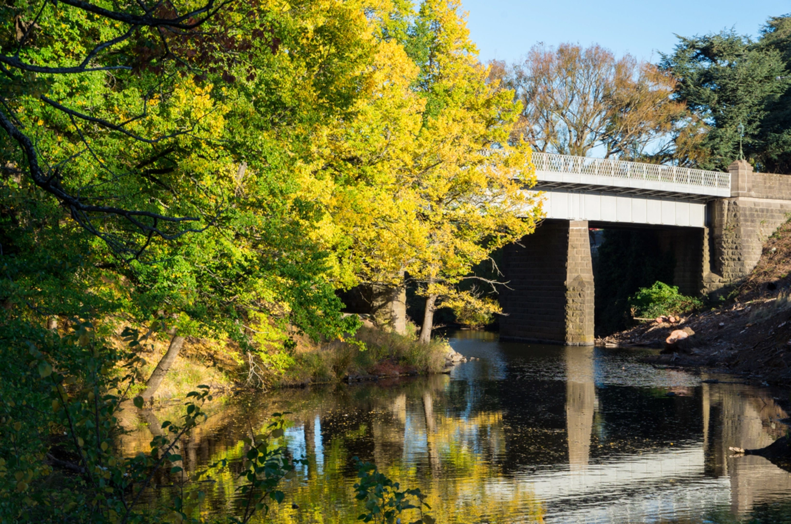 An image depicting the trail Best of Kyneton Walk and its surrounding area.