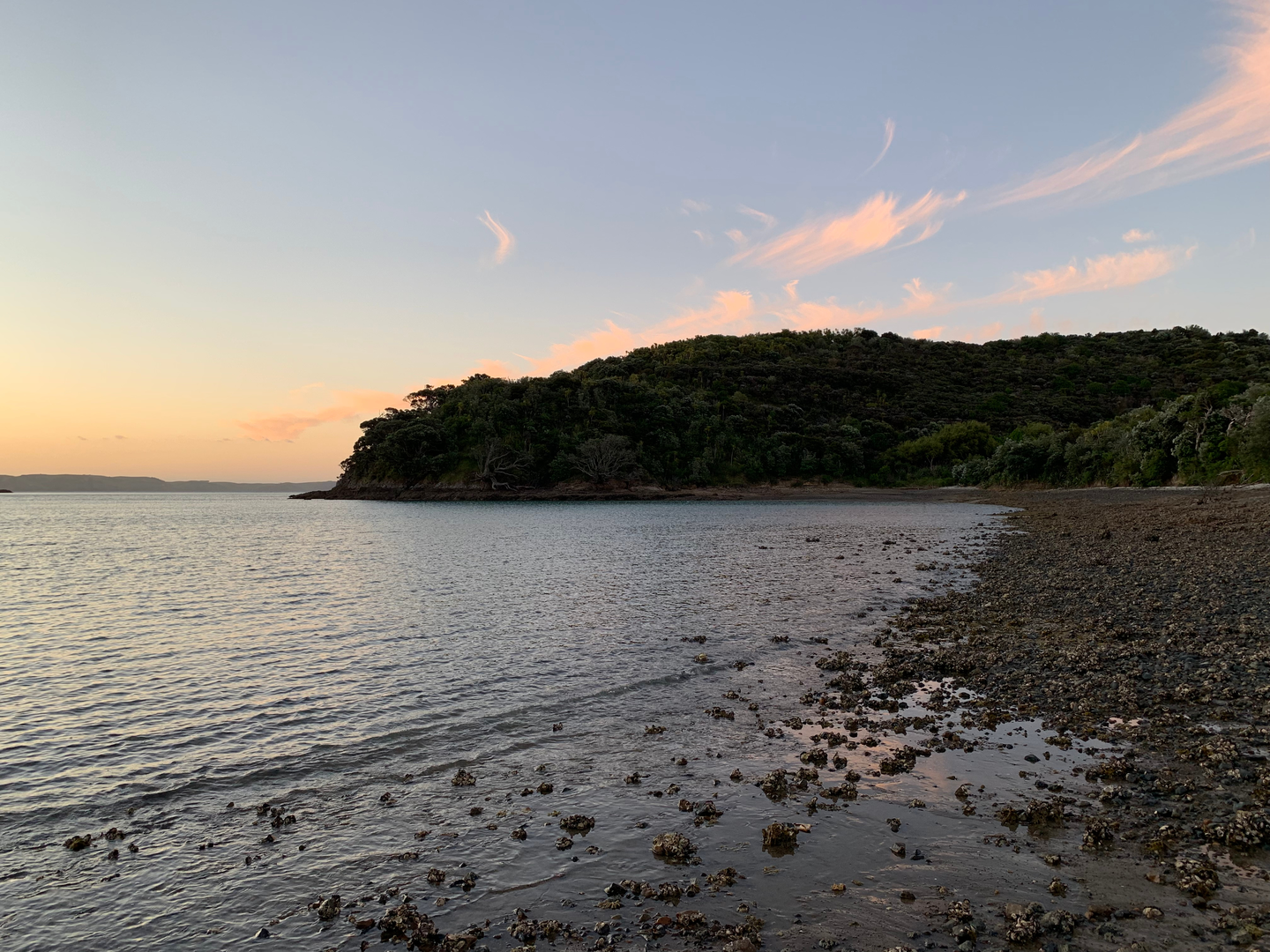 An image depicting the trail Owhanake Bay Loop and its surrounding area.