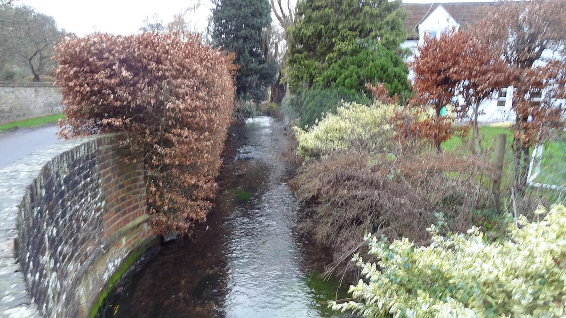 An image depicting the trail Chenies Woodland Loop and its surrounding area.
