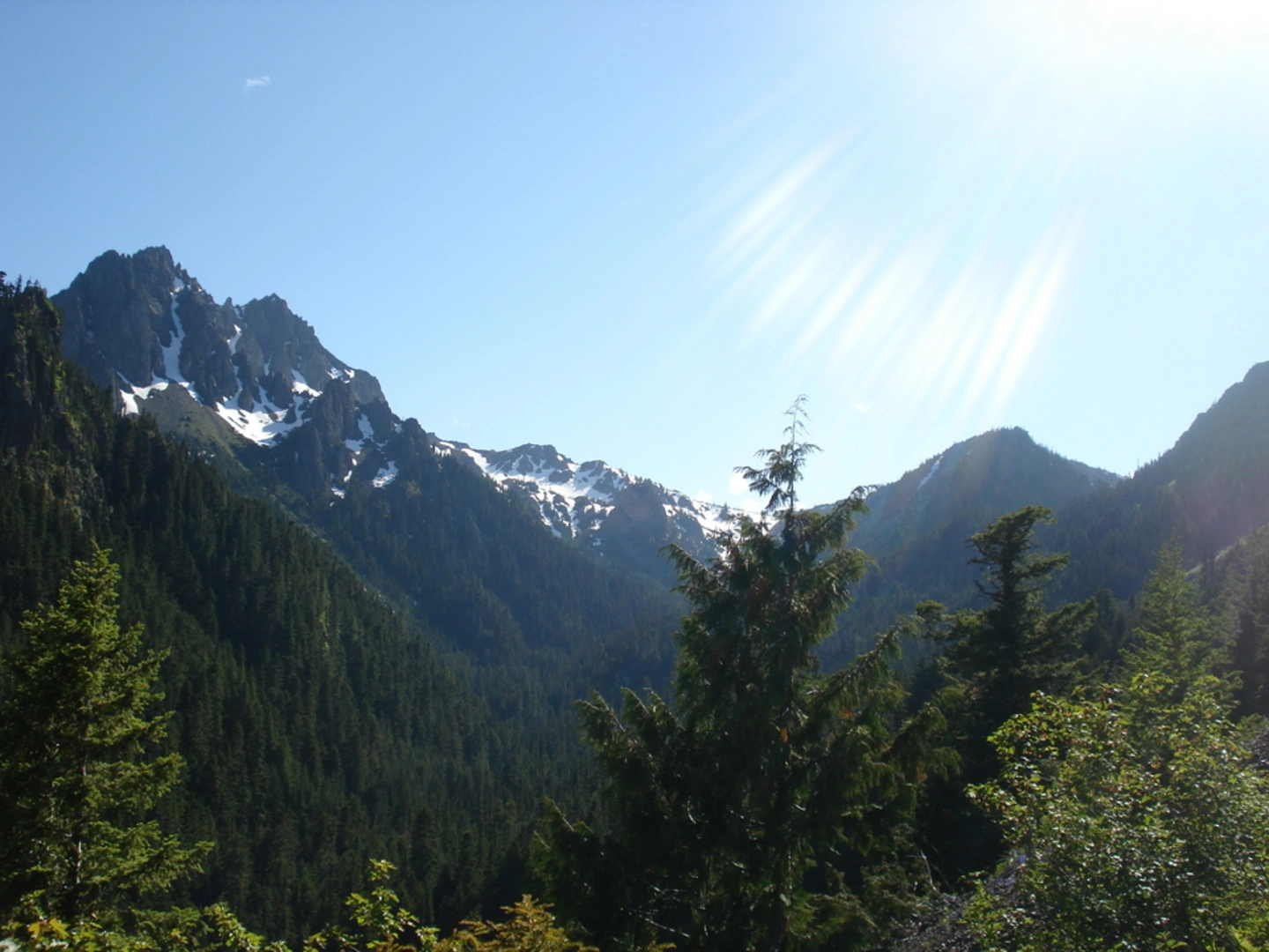 An image depicting the trail Dungeness Trail and its surrounding area.