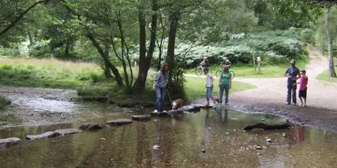 An image depicting the trail Cannock Chase from Milford and its surrounding area.