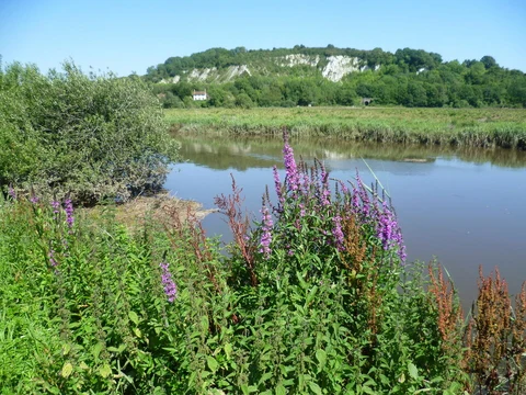 An image depicting the trail Amberley Circular Walk and its surrounding area.