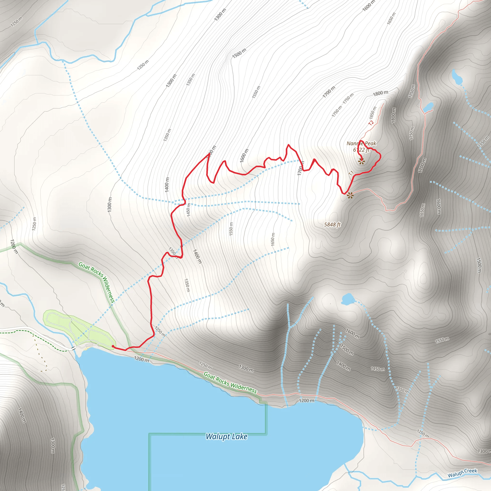 Nannie Peak from Walupt Lake mobile static map