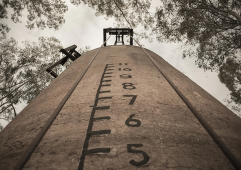 The Pines Conservation Reserve