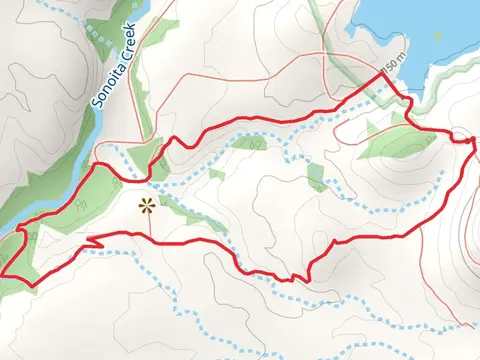 Cottonwood Direct and Sonoita Creek Loop Trail