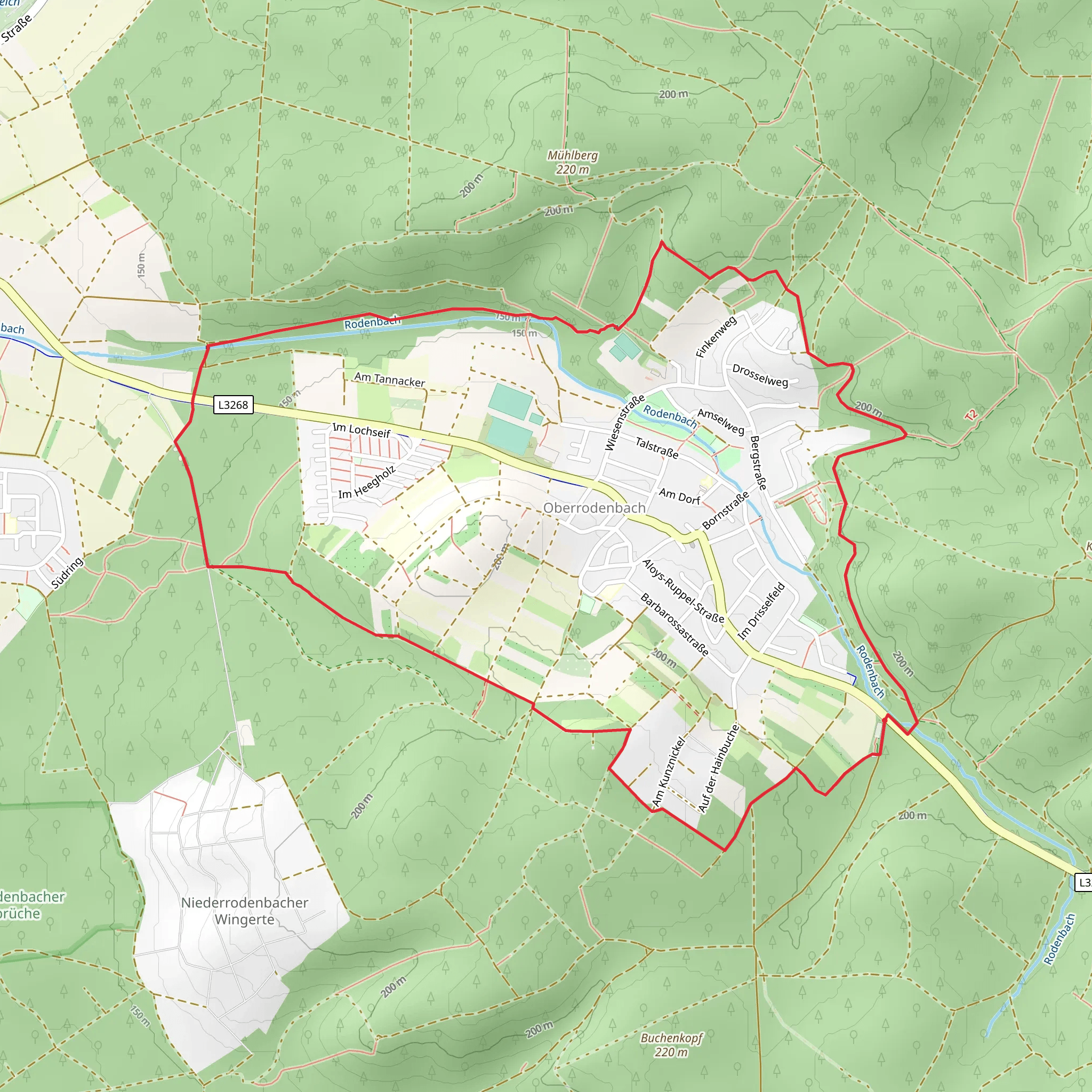 Oberrodenbach CIrcular Walk mobile static map