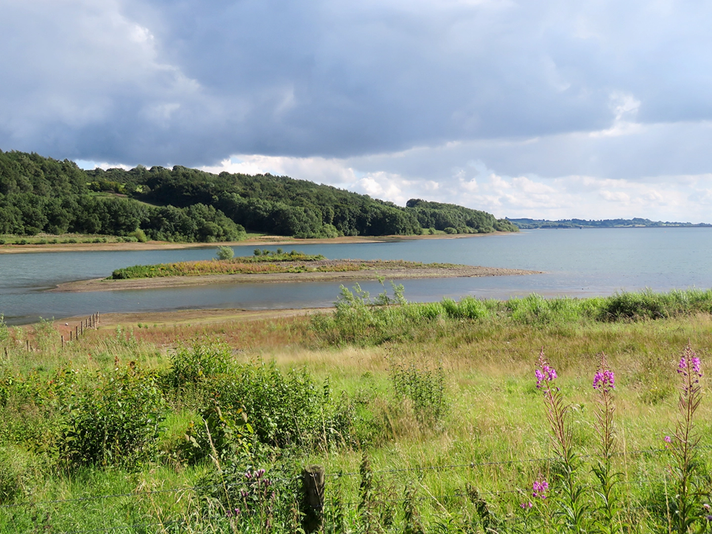 An image depicting the trail Carsington Water Loop and its surrounding area.