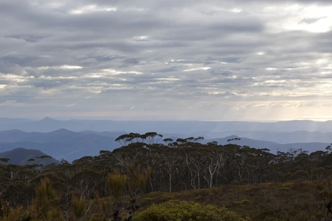 Mount Budawang Trail