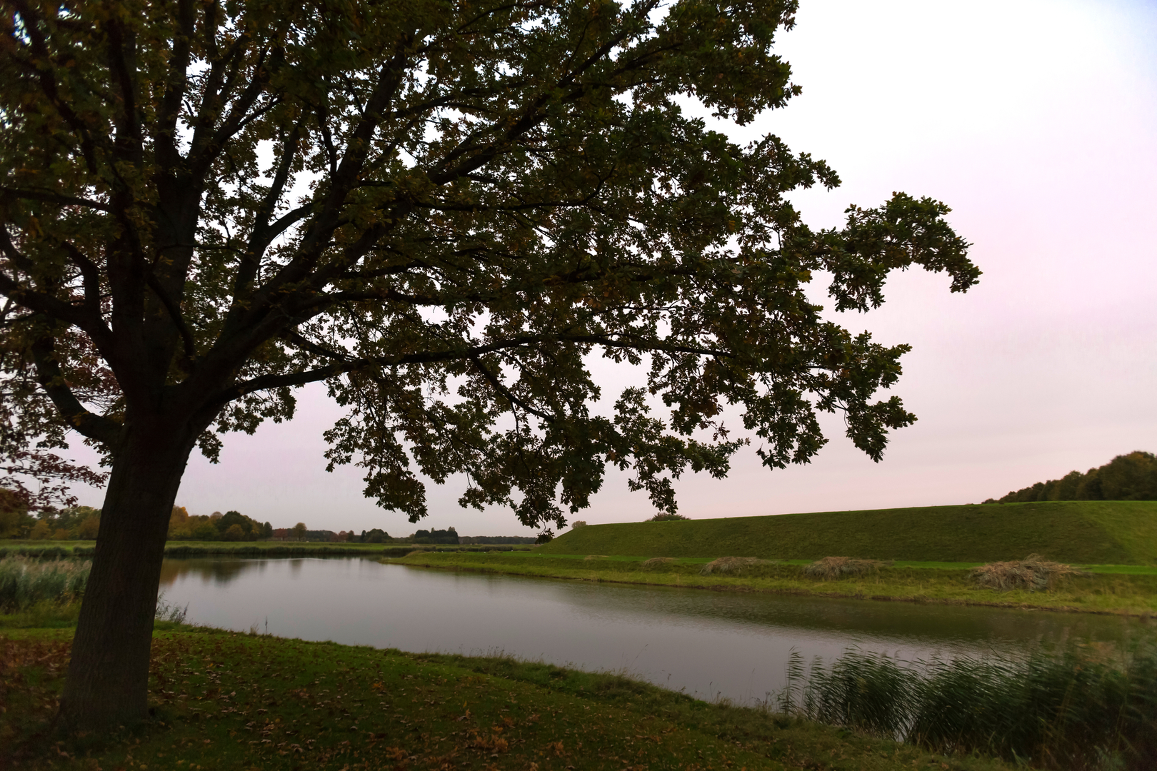 An image depicting the trail Hazeldonk, Oeijenbraak and Vierken Loop and its surrounding area.