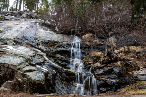An image depicting the trail Marshall Gulch Trail and its surrounding area.