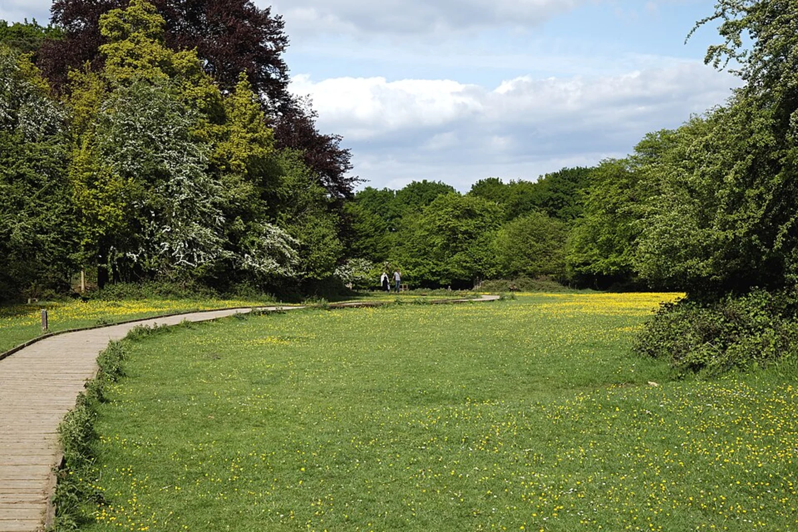 An image depicting the trail Flitch Way Country Park Loop and its surrounding area.