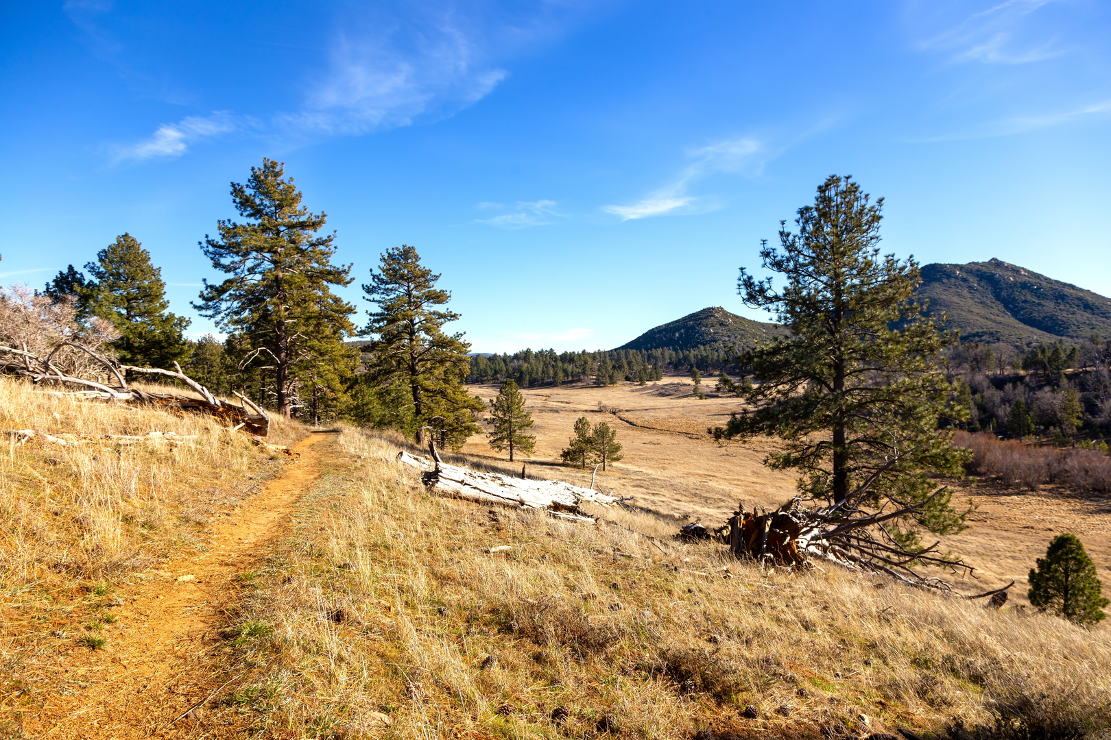 An image depicting the trail West Side Trail and Cold Stream Trail Loop and its surrounding area.