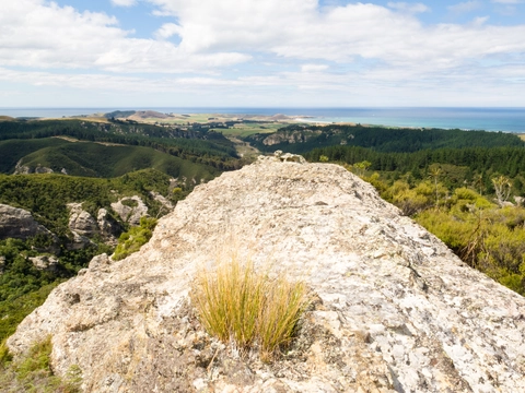 Trotters Creek Track