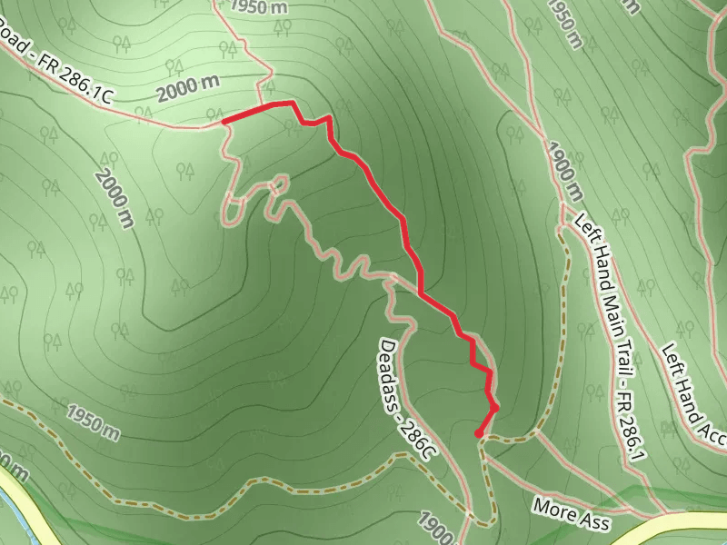 Lower Ridge Single Track Trail