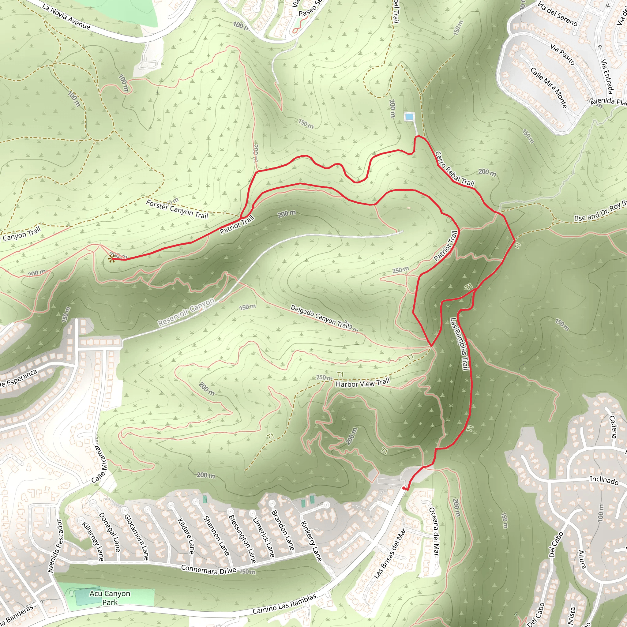 Las Ramblas - Cerro Rebal - Forster Canyon - Patriot Loop Trail mobile static map