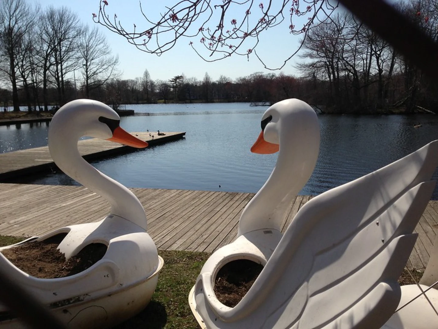 An image depicting the trail Southards Pond and Belmont Lake State Park Loop Trail and its surrounding area.