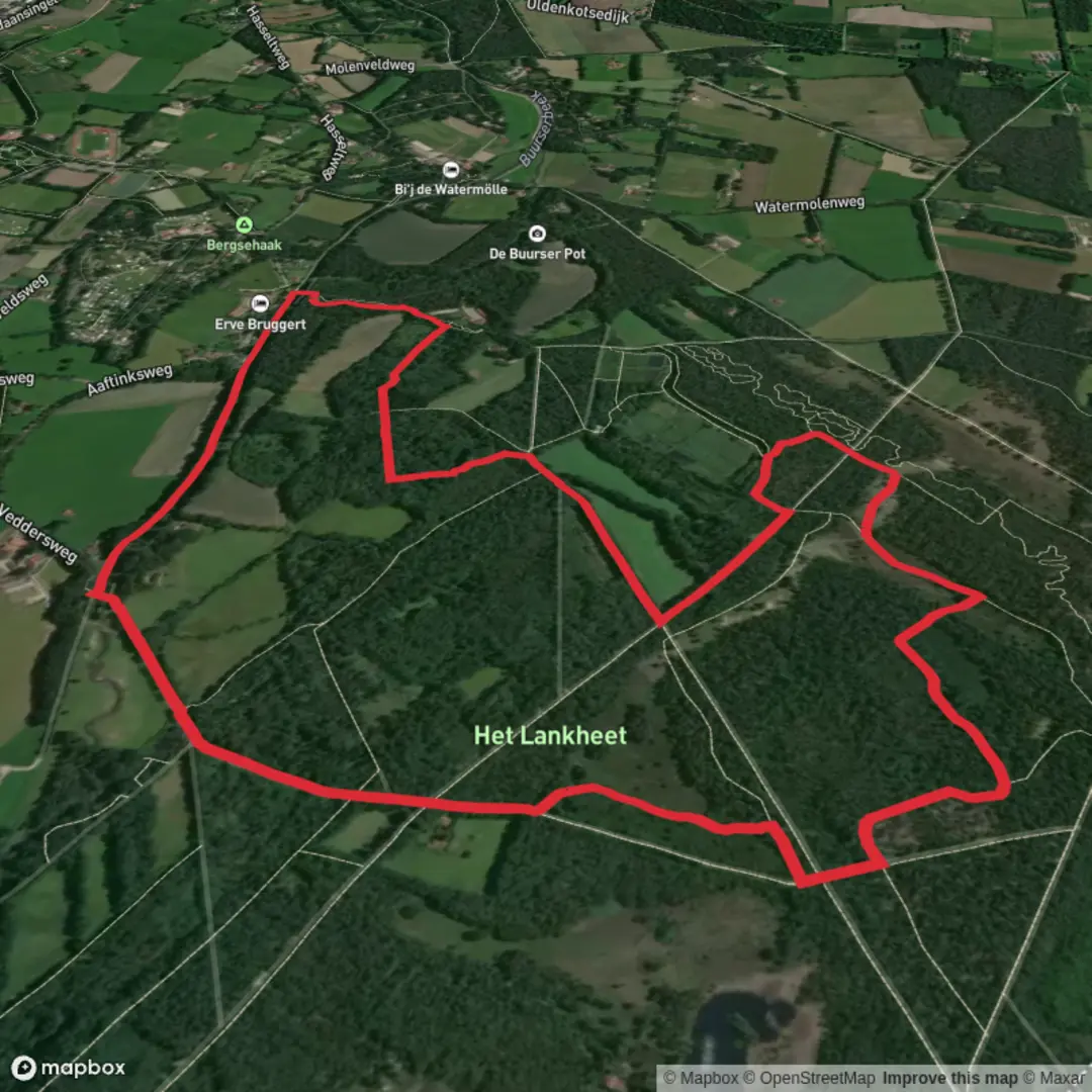 An image depicting the trail Het Lankheet and Buurserbeek via Veddersweg and its surrounding area.
