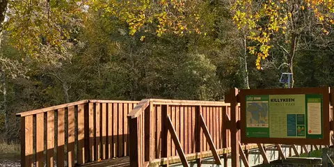 An image depicting the trail Killykeen Forest Park - Gartanoul Trail and its surrounding area.