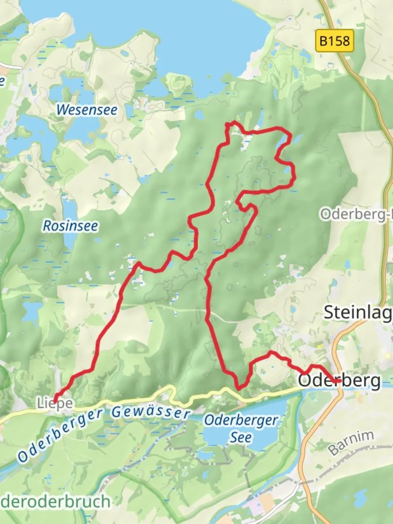 An image depicting the trail Liepe to Oderberg Walk and its surrounding area.