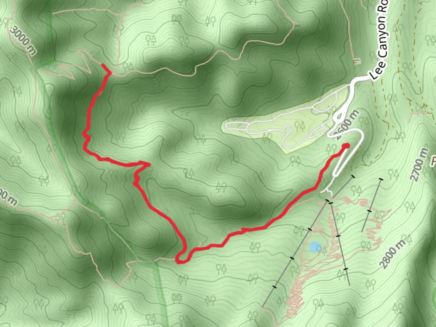 An image depicting the trail Upper Bristlecone Trail and its surrounding area.