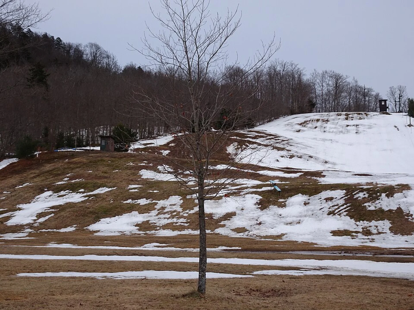 An image depicting the trail McCauley Mountain Trail and its surrounding area.
