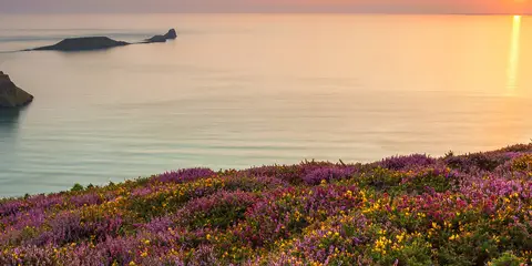 An image depicting the trail Rhossili Bay - Hillend and Rhossili Down and its surrounding area.