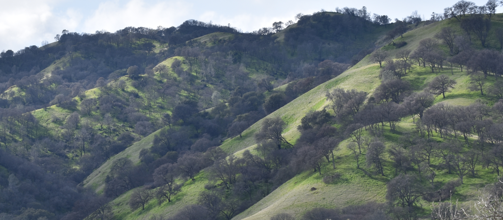 An image depicting the trail Pleasure Cove Marina Walk and its surrounding area.