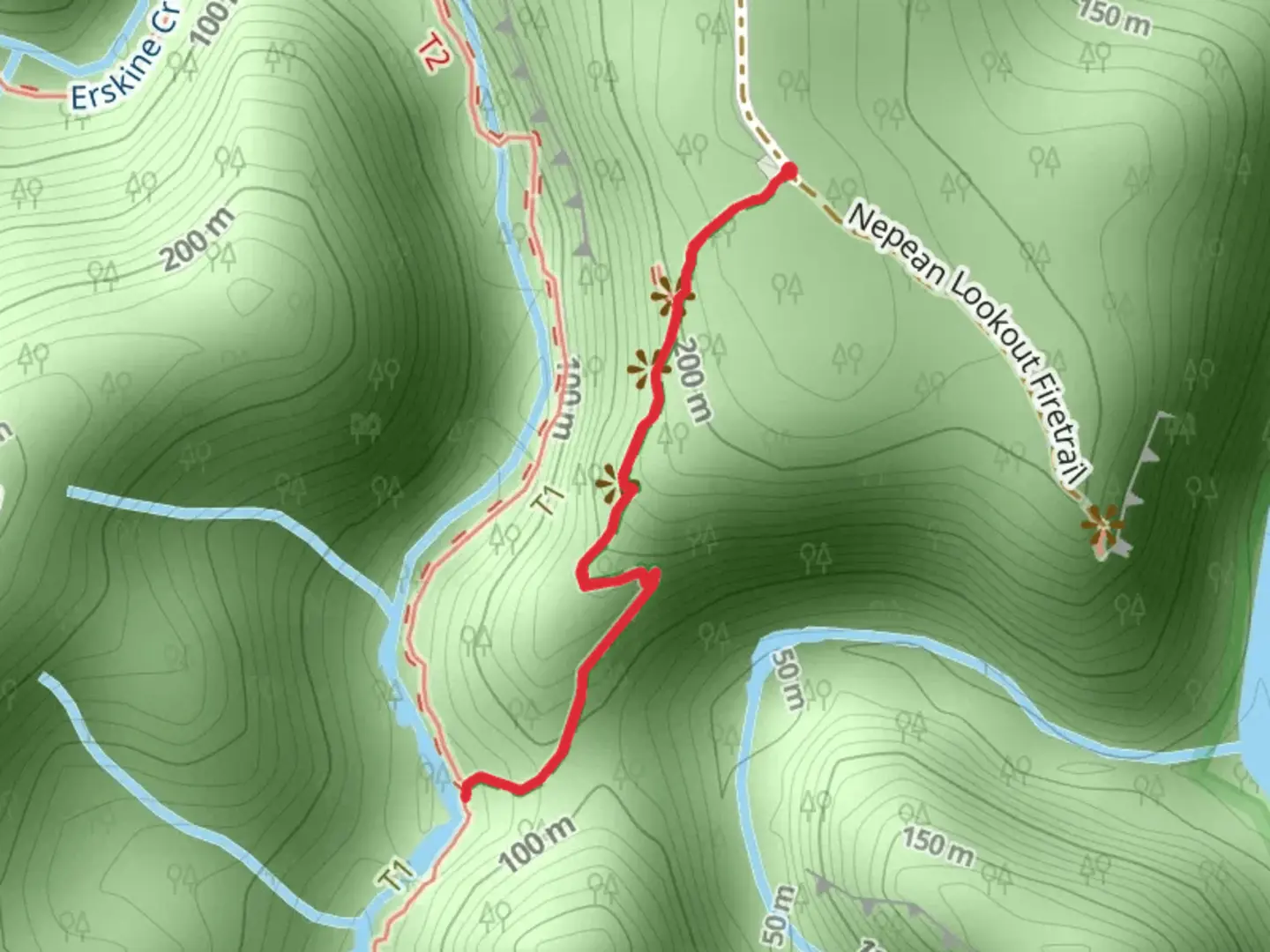 An image depicting the trail Jack Evans Track and its surrounding area.