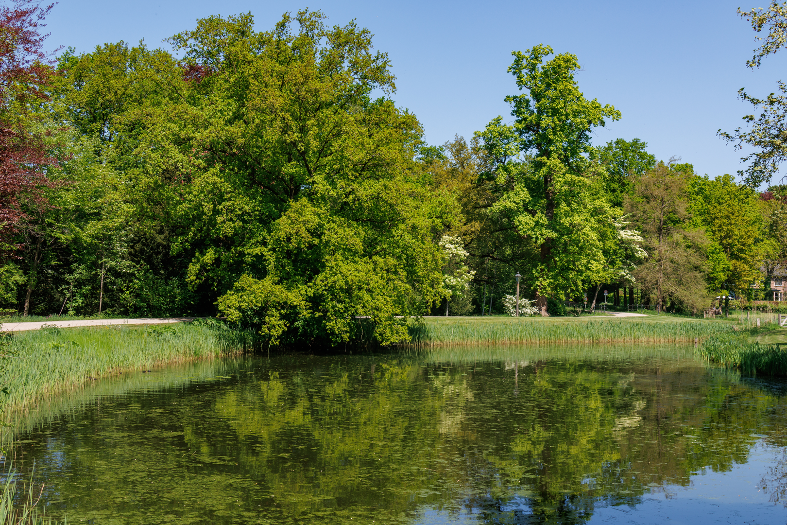 An image depicting the trail Oude Borculoseweg, Enzerinckweg and Galhengoor Loop and its surrounding area.