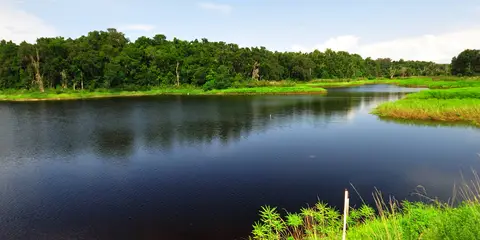 An image depicting the trail Linear Florida Trail - Prairie Lakes and its surrounding area.