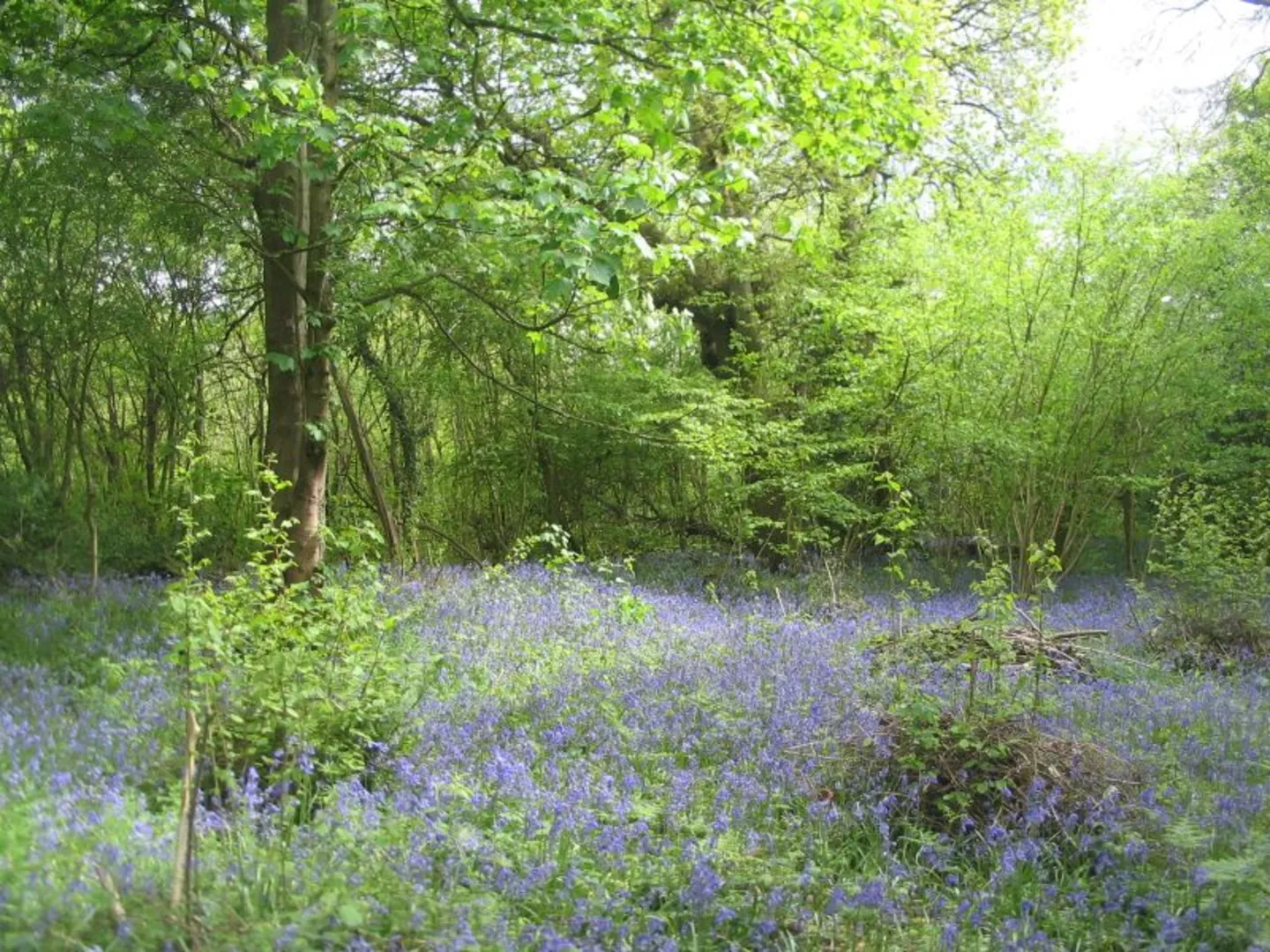 An image depicting the trail Coventry to Stoneleigh Loop via University of Warwick and its surrounding area.