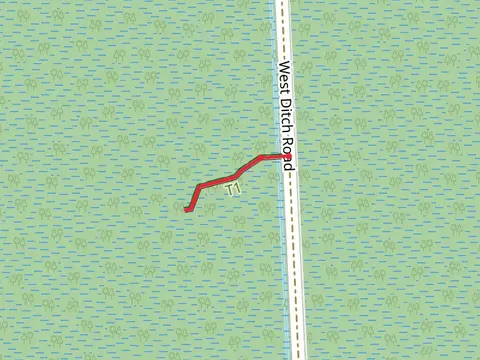 West Ditch Boardwalk