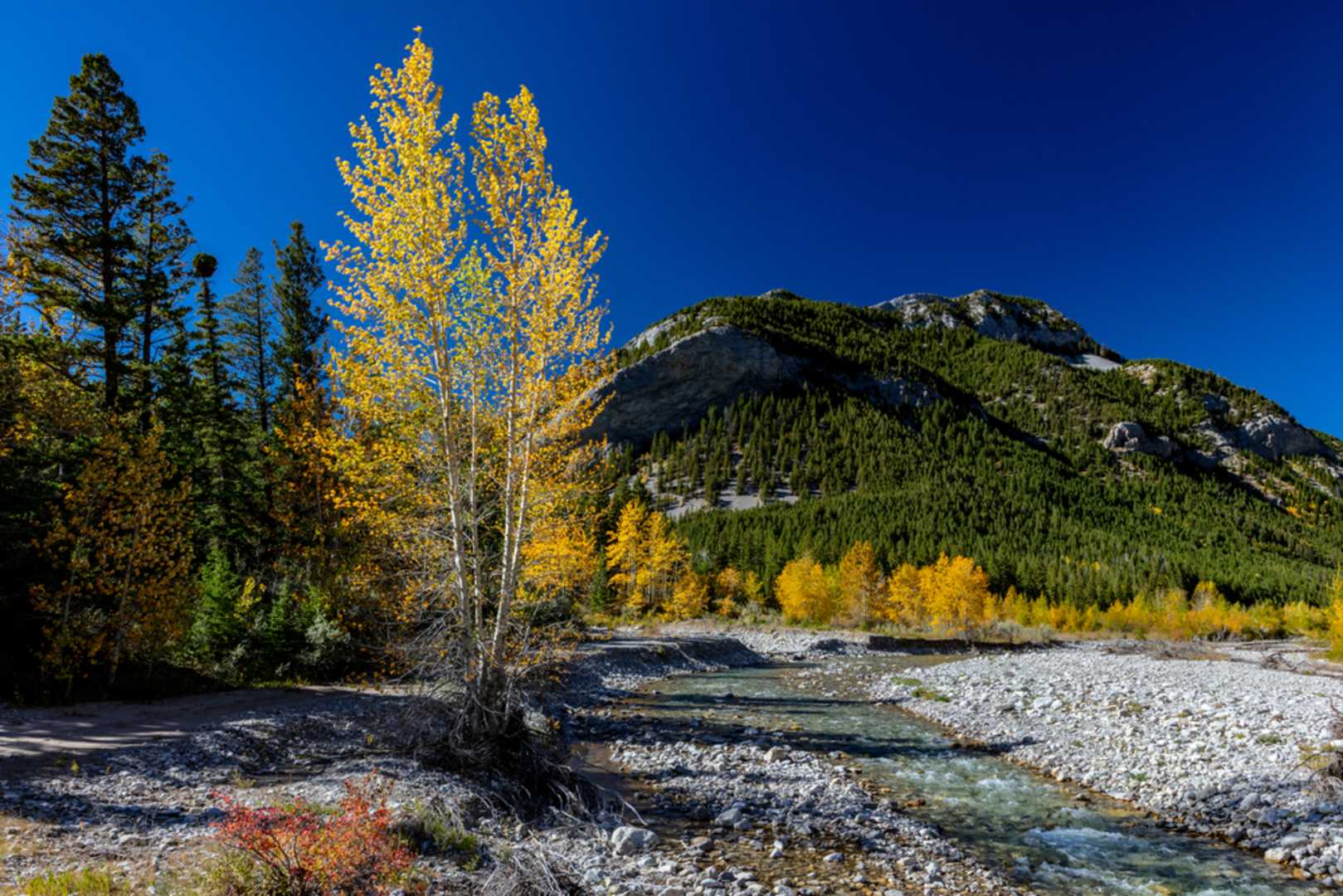 An image depicting the trail Lonesome Ridge Trail and its surrounding area.