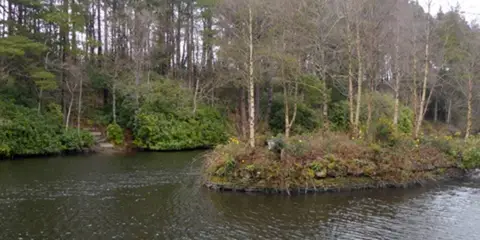 An image depicting the trail Brittas Forest Loop and its surrounding area.